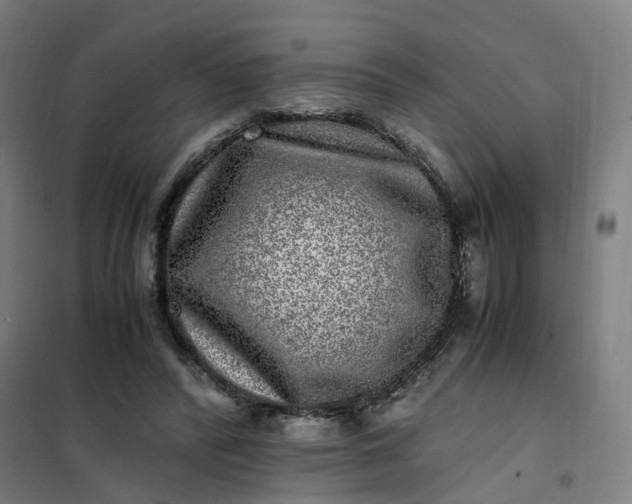 X0000101710400200807241500