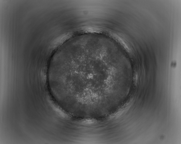 X0000101710402200807241500