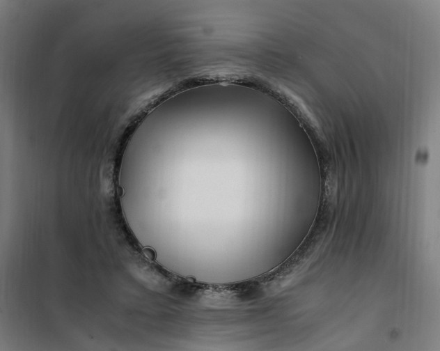 X0000101710403200807241500