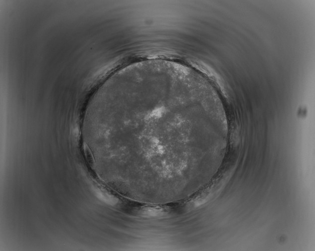 X0000101710405200807241500