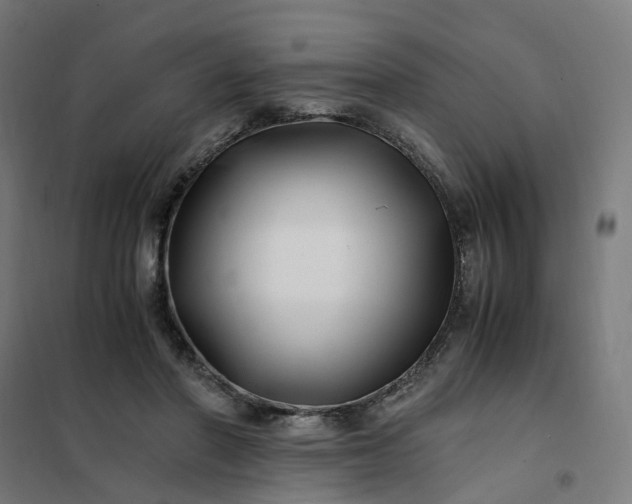 X0000101710406200807241500