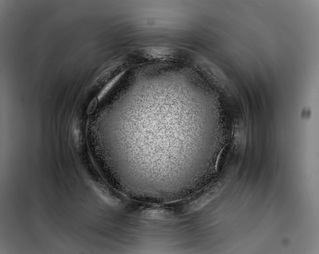 X0000101710408200807241500