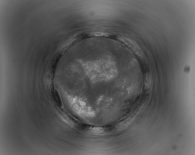 X0000101710409200807241500