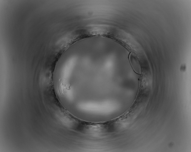 X0000101710411200807241500