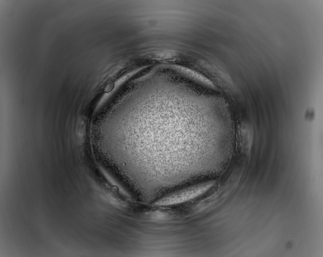 X0000101710412200807241500