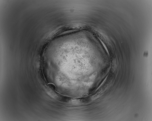 X0000101710413200807241500