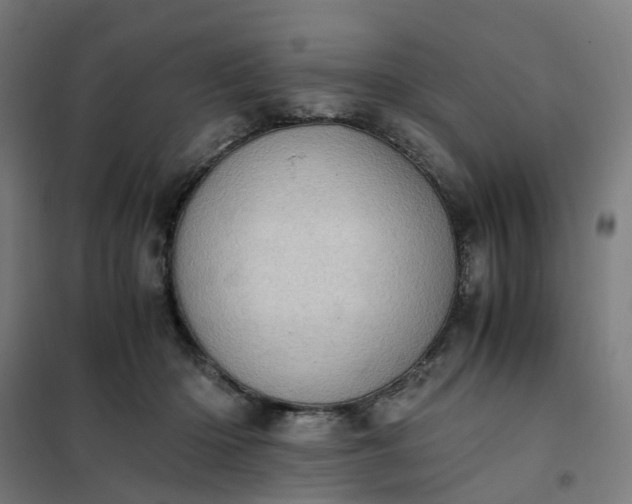 X0000101710414200807241500