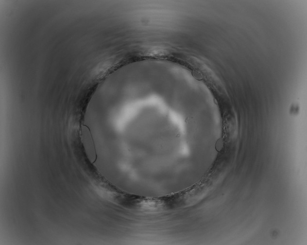 X0000101710415200807241500