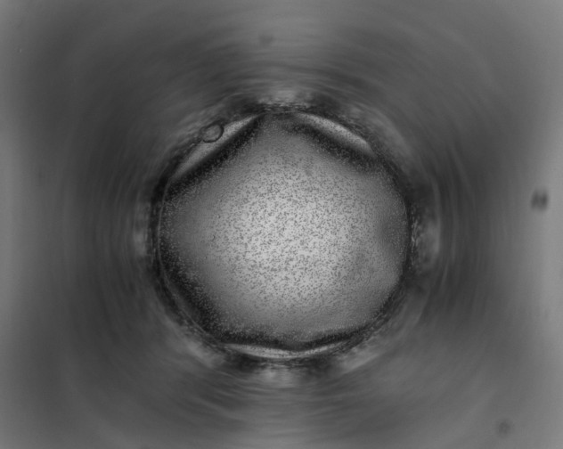 X0000101710416200807241500