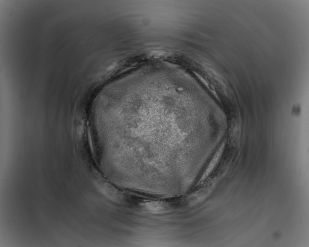 X0000101710417200807241500