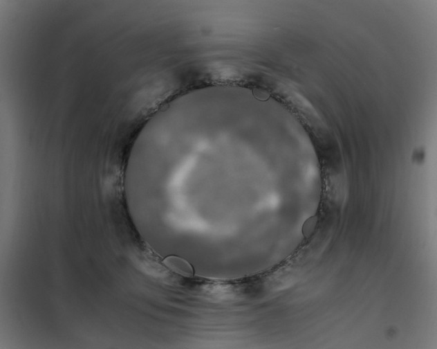 X0000101710419200807241500