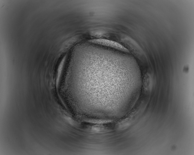 X0000101710420200807241500