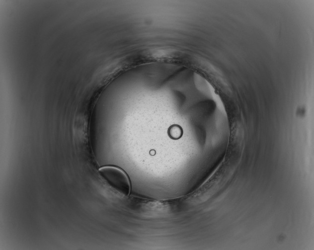 X0000101710421200807241500