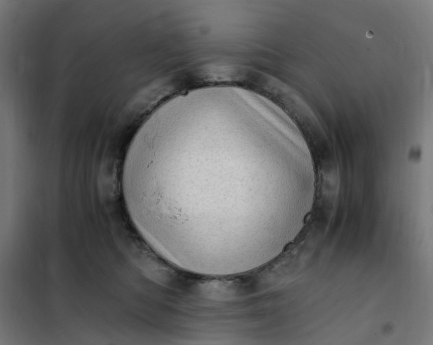 X0000101710422200807241500