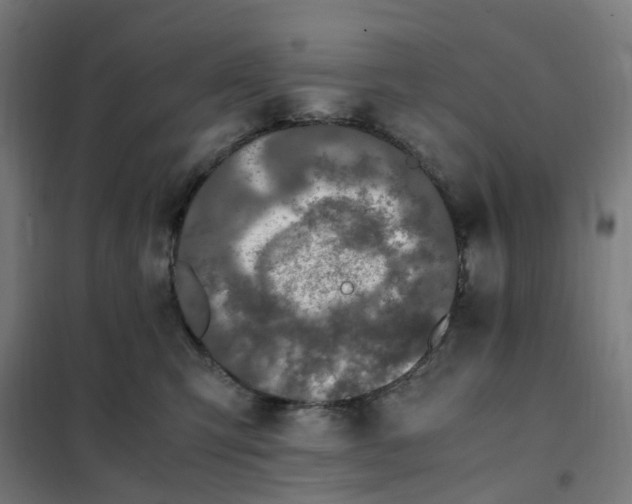 X0000101710423200807241500