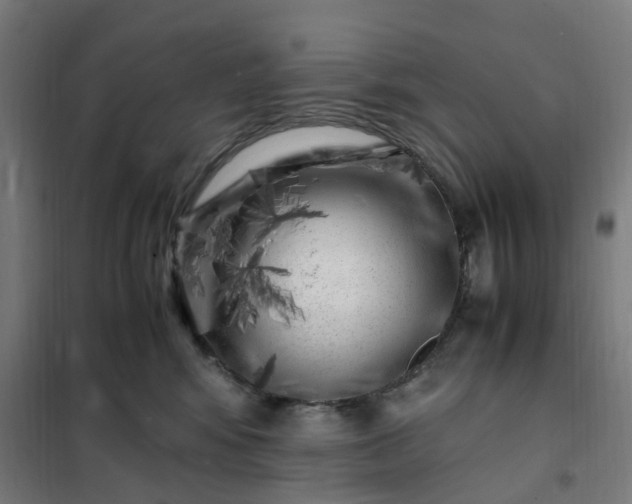 X0000101710424200807241500