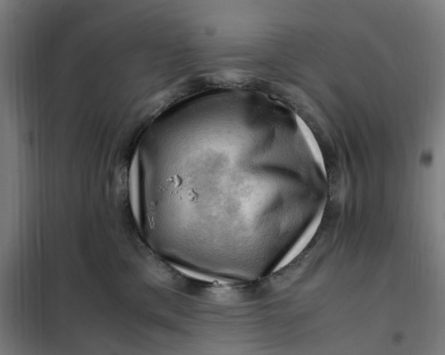 X0000101710425200807241500