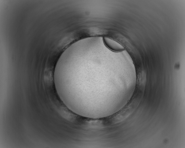 X0000101710426200807241500