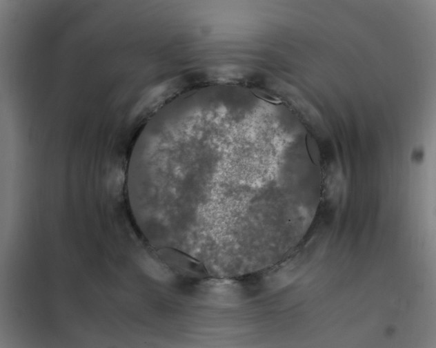 X0000101710427200807241500