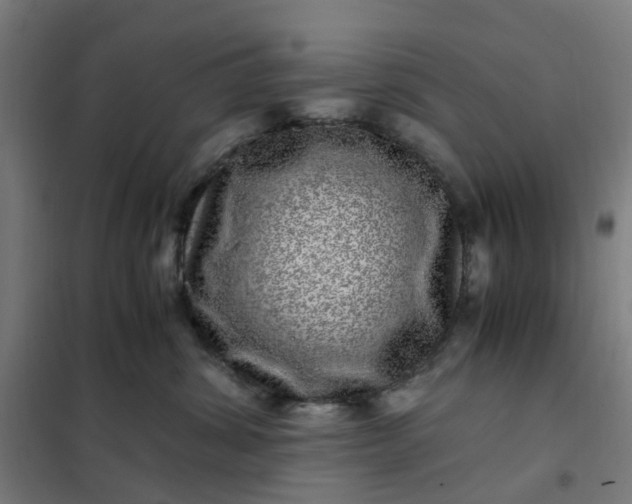 X0000101710428200807241500