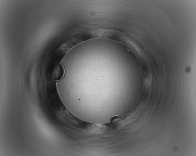 X0000101710429200807241500