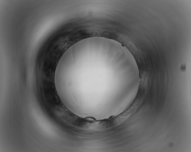 X0000101710430200807241500