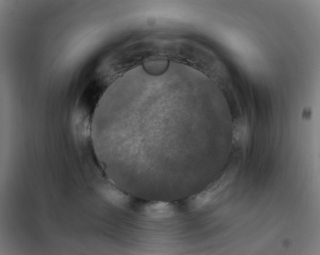 X0000101710431200807241500