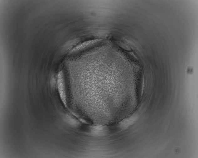 X0000101710432200807241500