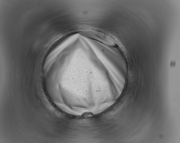 X0000101710433200807241459