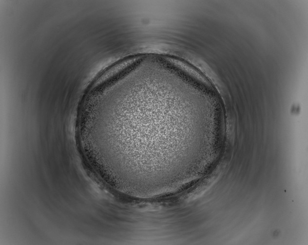 X0000101710434200807241459