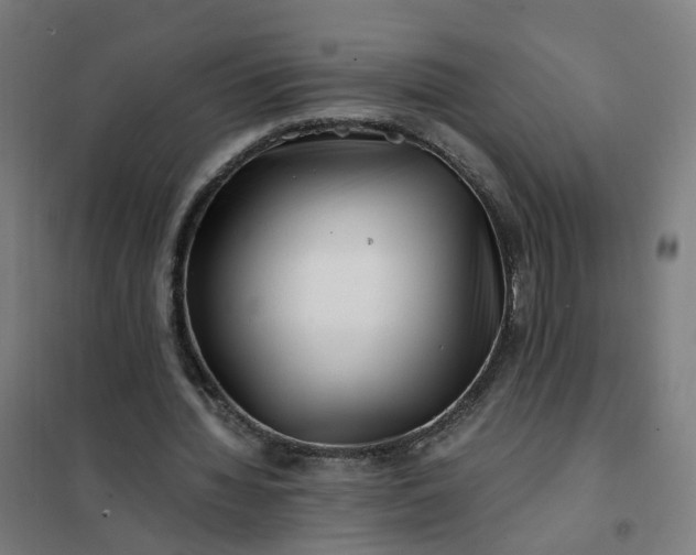 X0000101710436200807241459