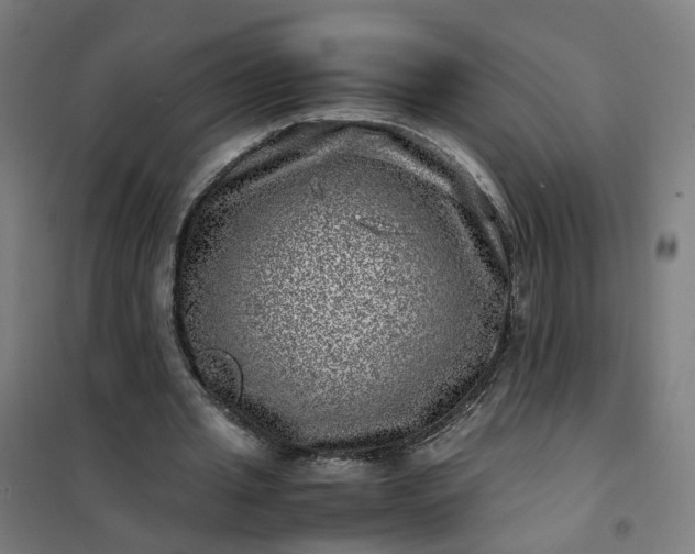 X0000101710437200807241459