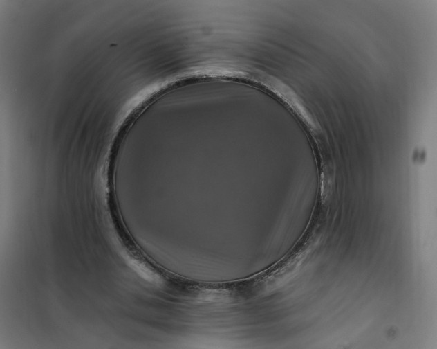 X0000101710438200807241459