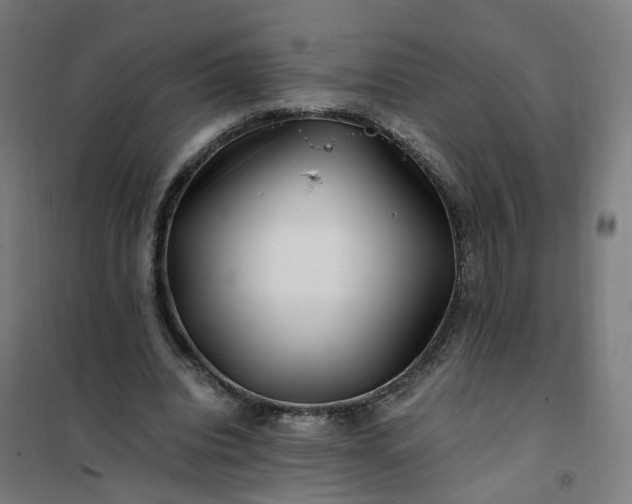 X0000101710440200807241459