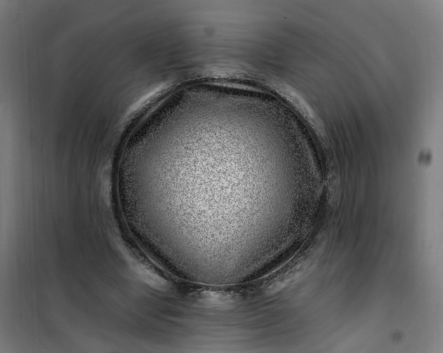 X0000101710442200807241459