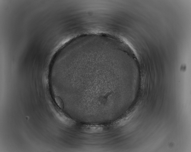 X0000101710443200807241459