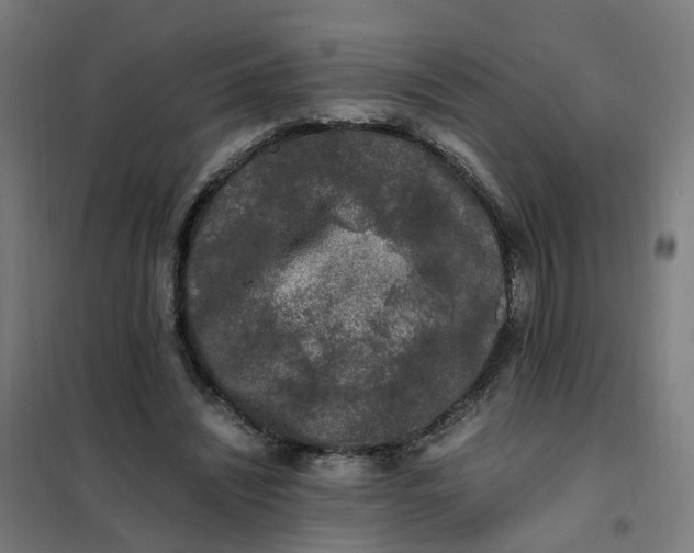 X0000101710444200807241459