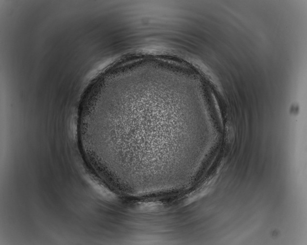 X0000101710446200807241459