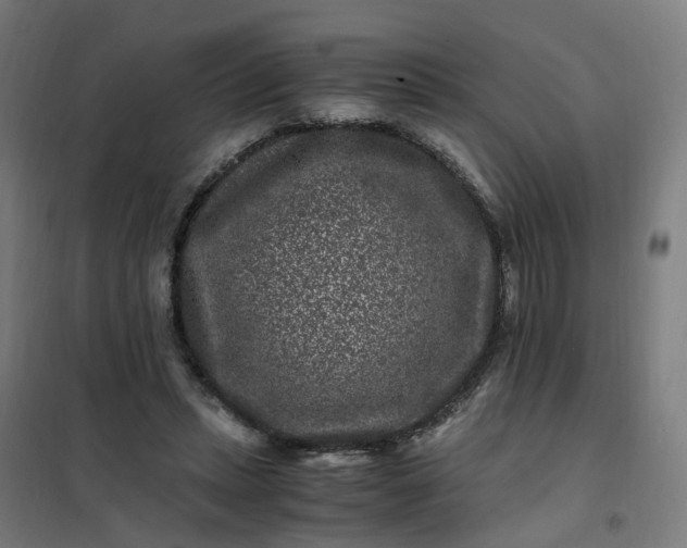 X0000101710447200807241459