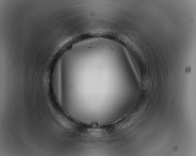 X0000101710448200807241459