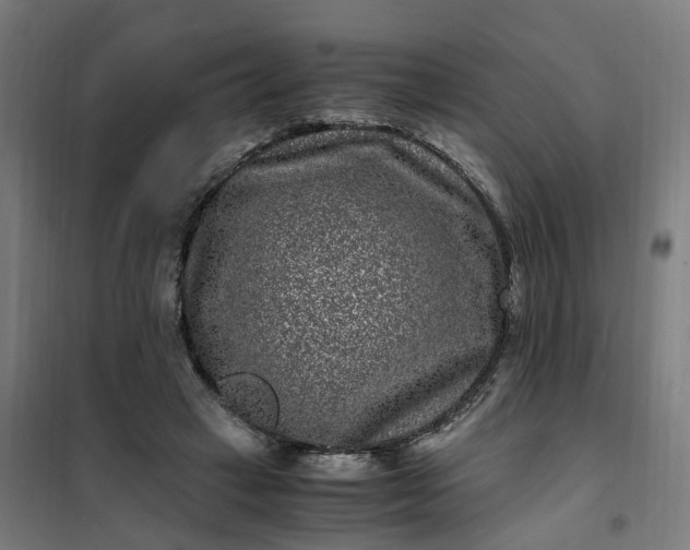 X0000101710449200807241459