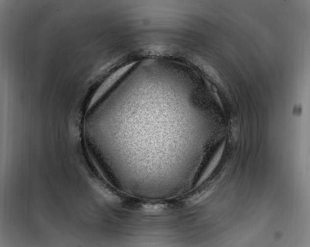 X0000101710450200807241459