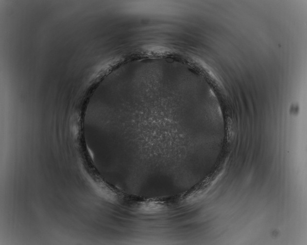 X0000101710451200807241459