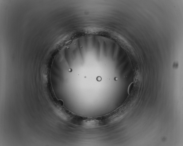 X0000101710452200807241459