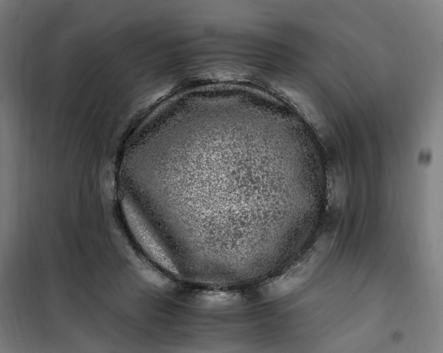 X0000101710453200807241459