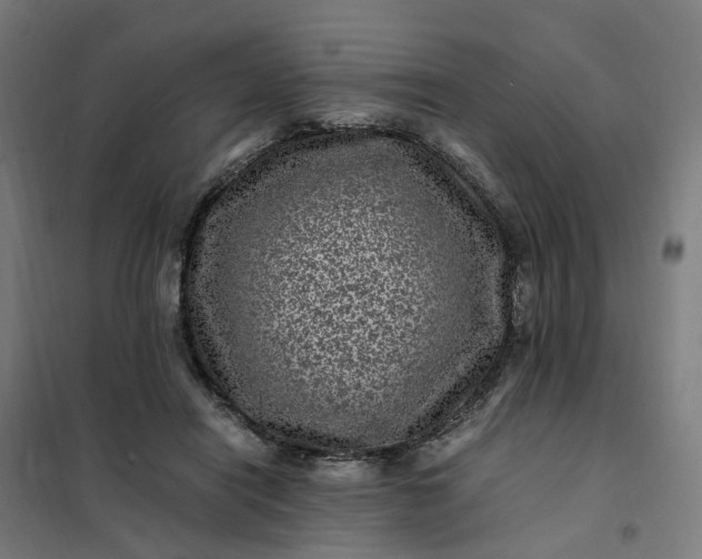 X0000101710454200807241459