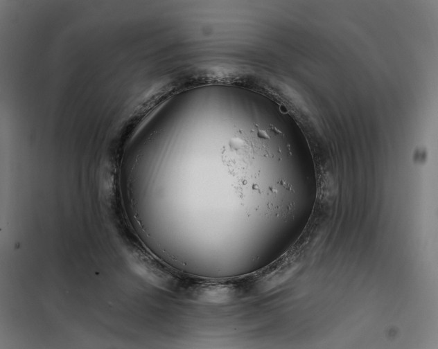 X0000101710456200807241459