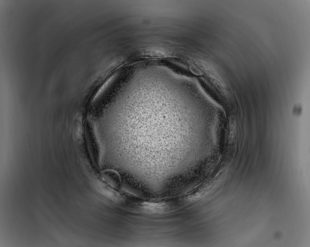 X0000101710457200807241459