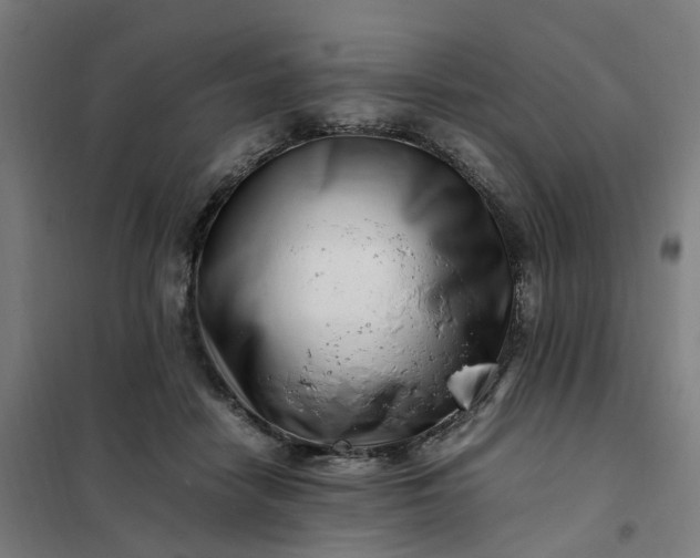 X0000101710458200807241459