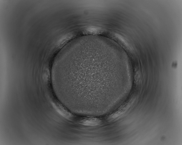 X0000101710459200807241459